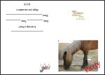 Free printable pony birthday invitations thumbnail
