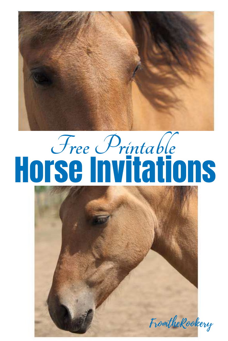 Free Printable Horse Birthday Invitations