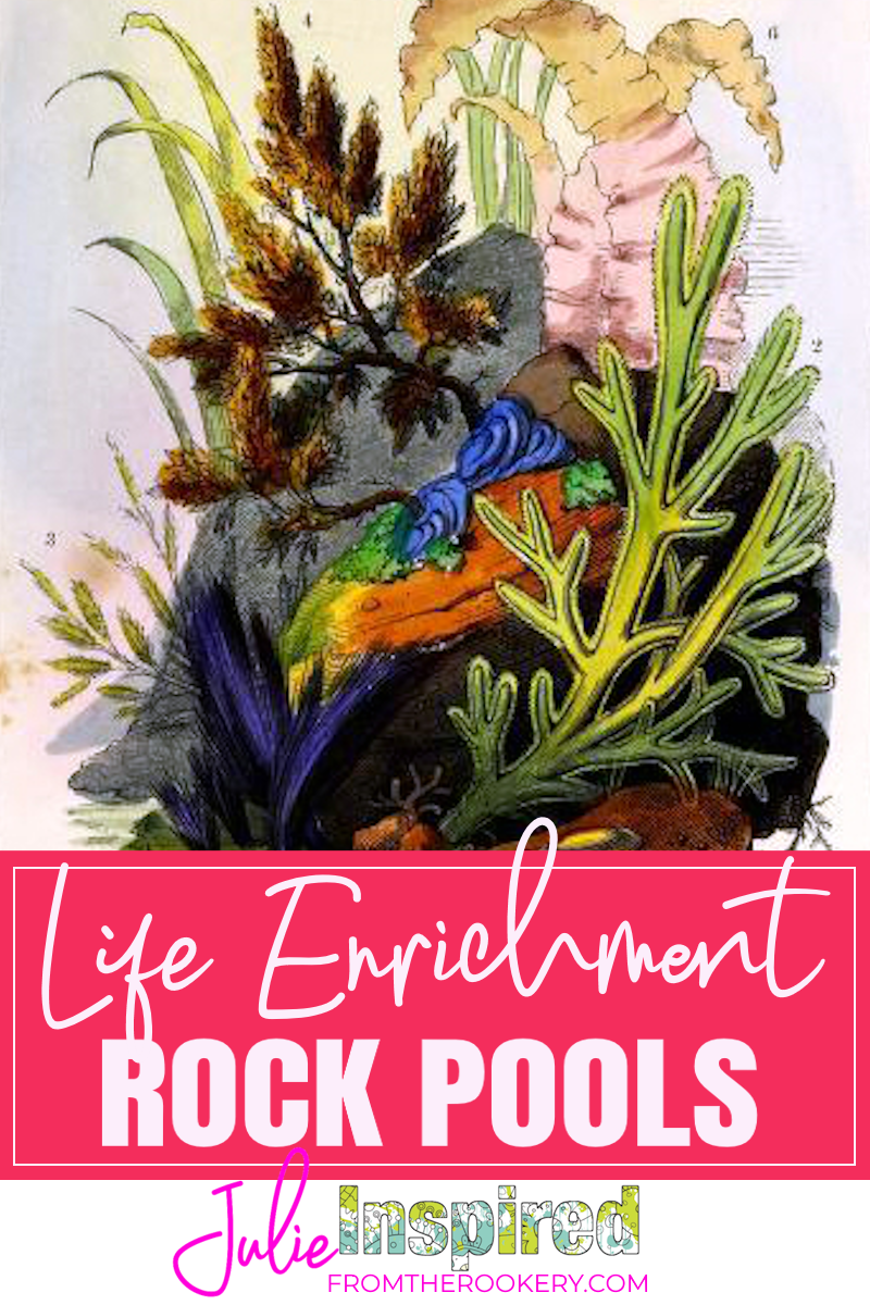 Life Enrichment Ideas