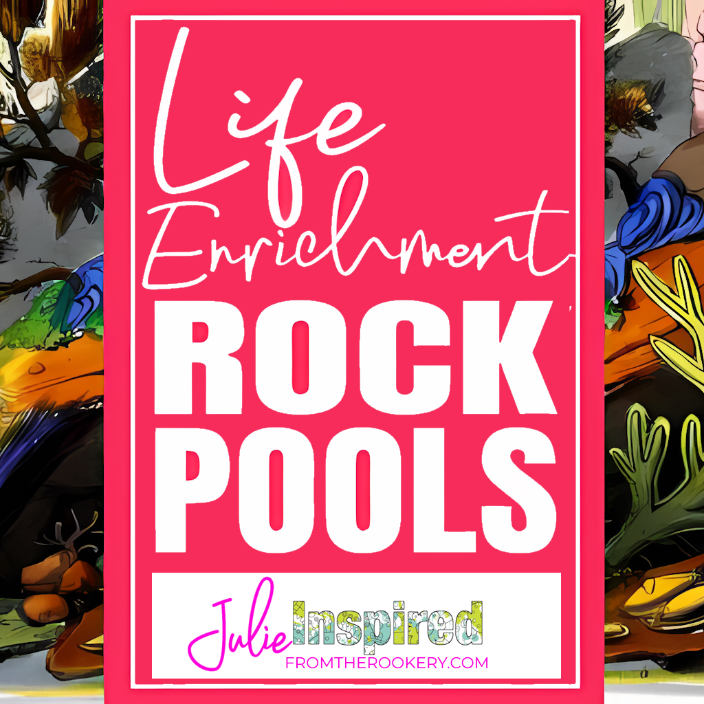 Rock Pools for Life Enrichment